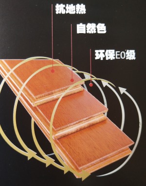 公司介绍